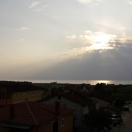 Apartments Tenerifa Novigrad  Bagian luar foto