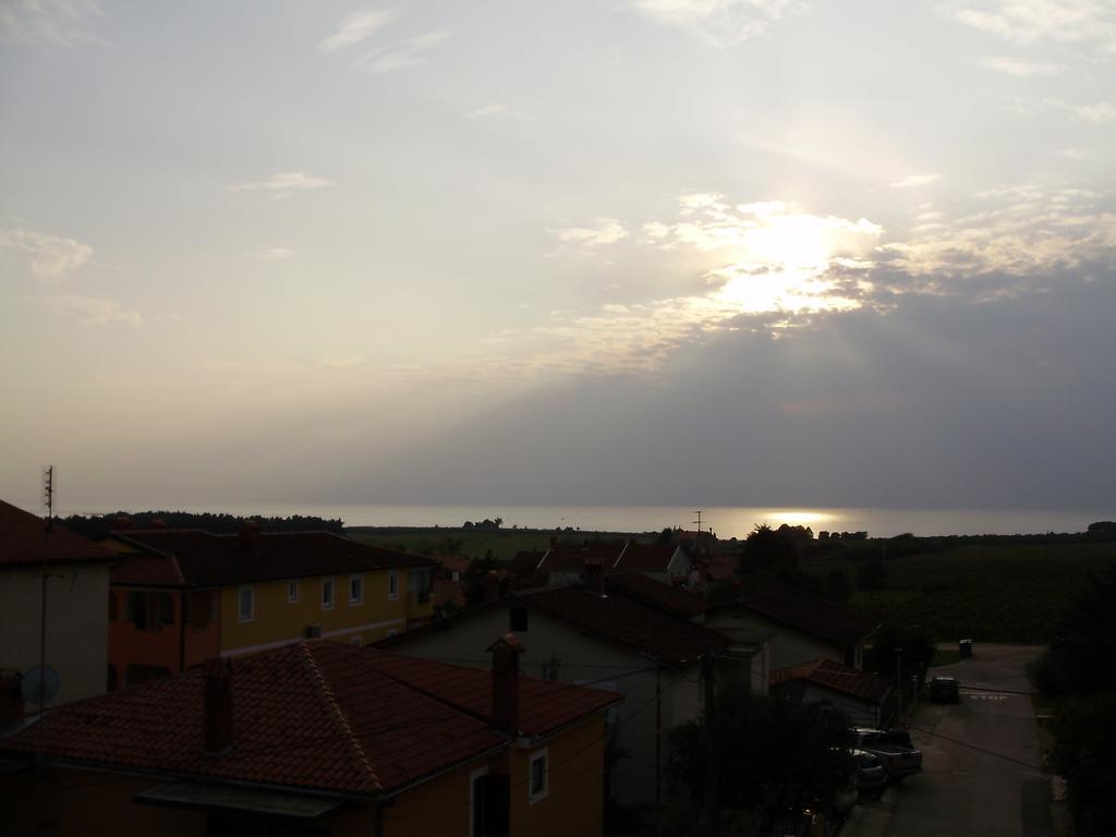 Apartments Tenerifa Novigrad  Bagian luar foto